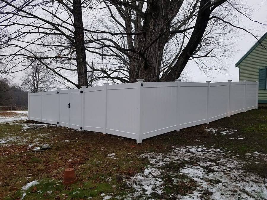 A white vinyl or PVC privacy fence in the foreground with bare tree A white vinyl or PVC privacy fence in the foreground with bare tree