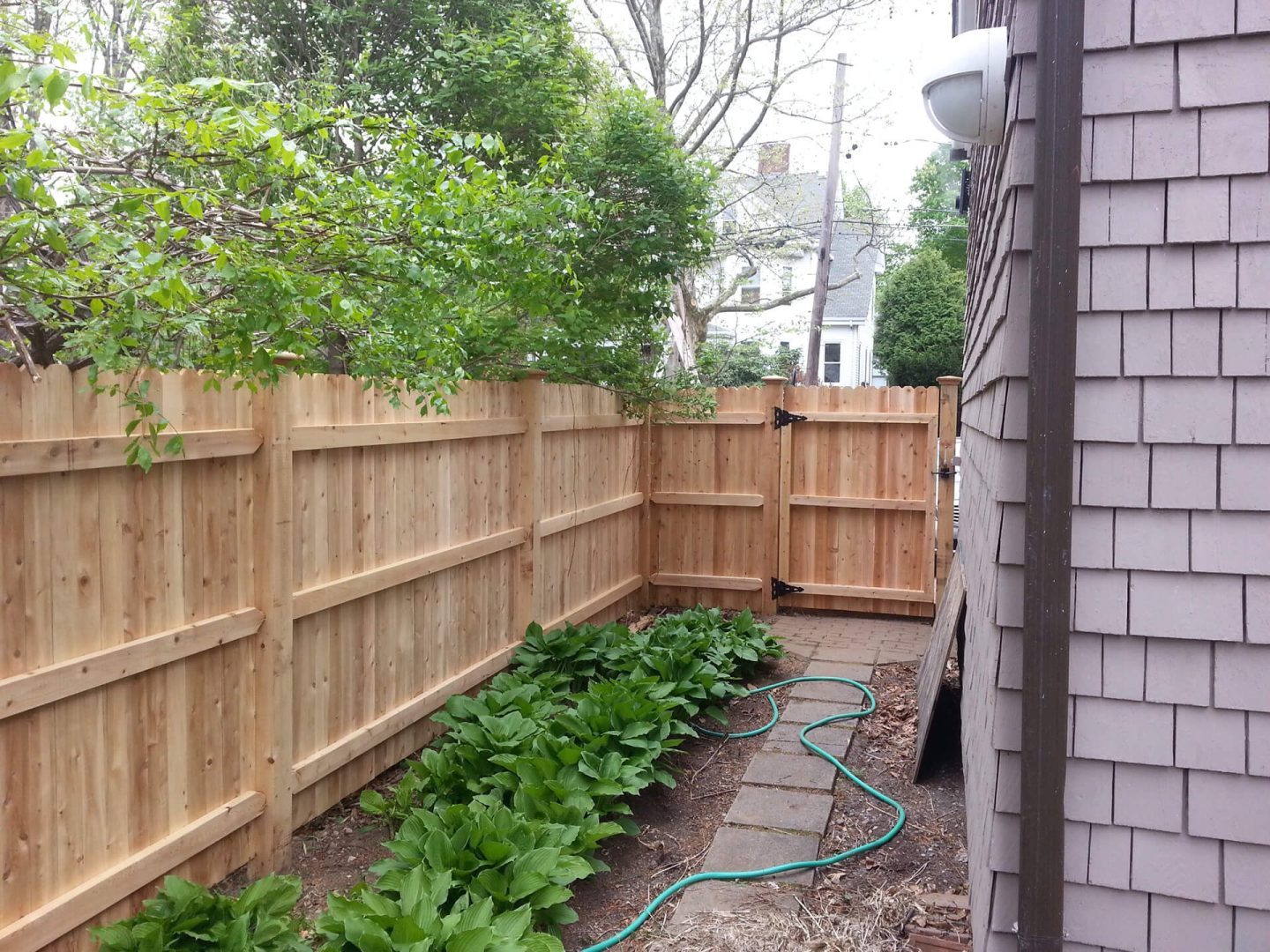 A backyard scene featuring a wooden fence and a garden hose coiled on the grass.